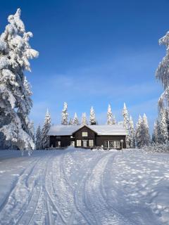 Villa Lande - 0