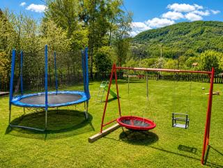 Etno kuća Radonjić - Family Retreat & Spa - Guča - 7