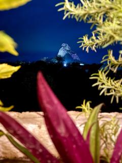 Hotel Suites Piamonte - 5