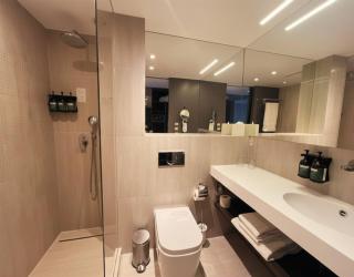 Crowne Plaza Geneva by IHG - 7