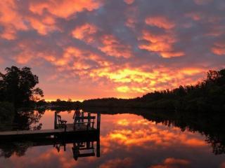 Ironbark - 9