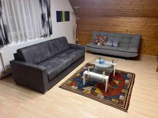 ALTSTADT-APARTMENTS Bad Radkersburg - Ihr Zuhause auf Reisen - 7