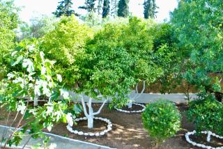 Thalassa studios - 5