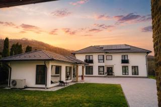 Vila Diamond Lux&Spa - 8