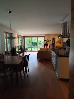 Loft mit Whirpool und Kamin - 6