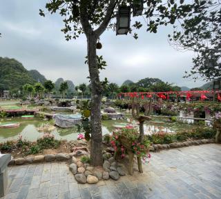 TAM FAMILY HOMESTAY and RESTAURANT - 6