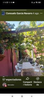 Las Palmeras - 2