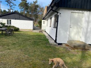 Sandbybäcksvägen 18 - 8