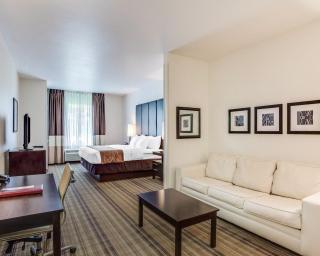 Comfort Suites Mandeville - Covington - 7