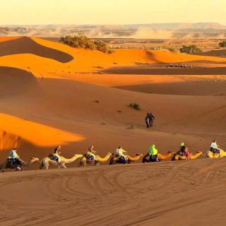 Royal Desert Retreat - 3