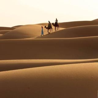 Royal Desert Retreat - 2