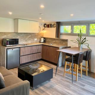 T2 design Terrasse calme, parking privé Grenoble - 9