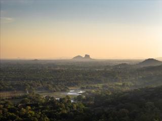 AARA Wild Sigiriya - Luxury Forest Pool Suites - 7