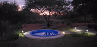 A Zebra game farm - 5