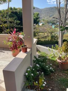 Hibiscus House - 9