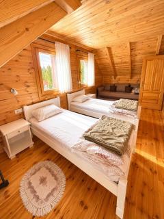 Chalet Aleksa - Žabljak - 1