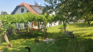 Haus Fini - 8