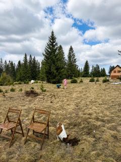 Chalet Aleksa - Žabljak - 6