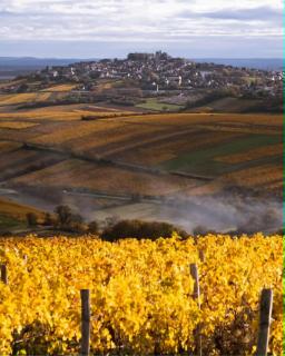 l'Eden du sancerrois - 8