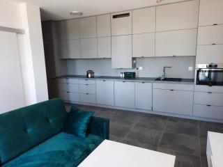 Apartament nad jeziorem Bory Tucholskie Charzykowy - 4