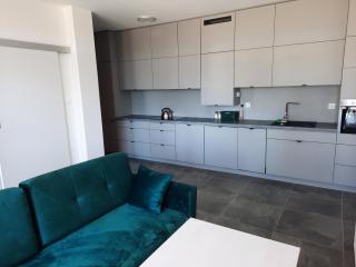 Apartament nad jeziorem Bory Tucholskie Charzykowy - 6