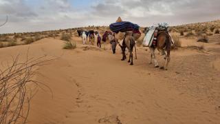 Campement Sahara Oasis Douz - 9