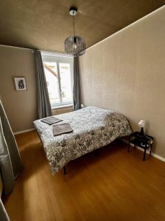appartement rénové avec terrasse - 6