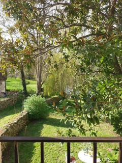 La maison Carré - a romantic house by the river for two - 1
