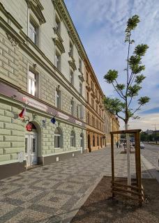 Residence Vysta - 9
