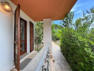 Dream Hill, Poggio dei Pini - 2
