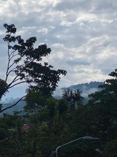 Angel house Colombia in the heart of the Coffee Region - 4