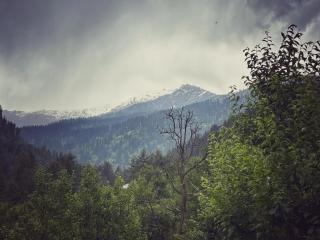 Crown of soil - 5