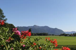 Haus Waldesruh - Übersee - 6