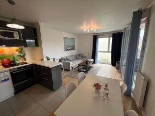 Lumière Parisienne Spacious 2BR Apartment with Terrace Free Parking Near Metro Line 13 - 7