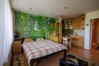 Apartmán Brezy - 0