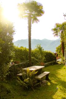 Villa dei Muralti - Homestay - Rooms rental - 5