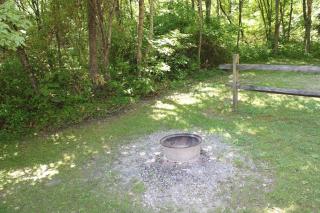 Wren's Nest - 1