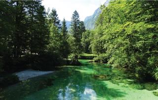 Apartments Eurolux - Bohinjska Bistrica - Bohinj - 8