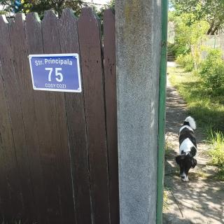 Refugiul din Cozieni - 6