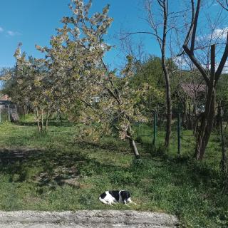 Refugiul din Cozieni - 2