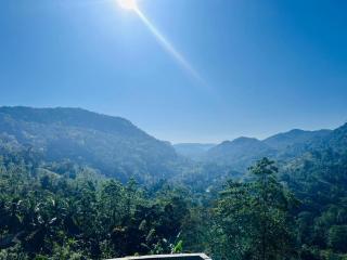 Sinharaja Eco Camp - 7