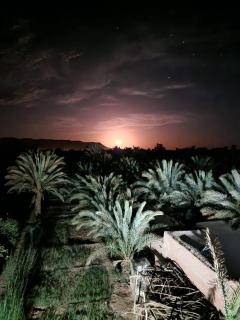 Desert Stars Oasis - 2