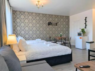 Large Studio Near Airport & Centre Free Parking - 4