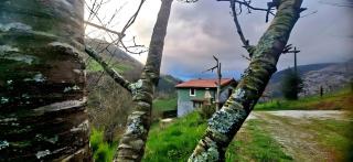 El Rincón De La Naturaleza - 0