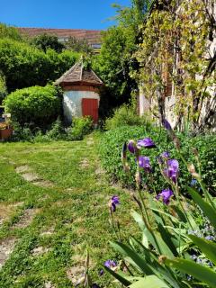 Le Clos Verdonnais - 6