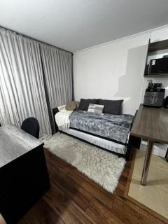 Berlin in Santiago, a great apartment - 2