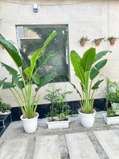 Mahajan Villas - Entire Villa in Sector 109 Gurugram India - 4