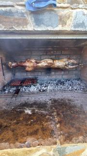 Ferma e Gomaricave Orenjë,Librazhd-Gomarica Farm Orenje,Librazhd - 7