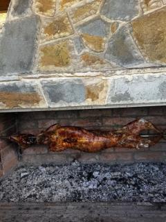 Ferma e Gomaricave Orenjë,Librazhd-Gomarica Farm Orenje,Librazhd - 8