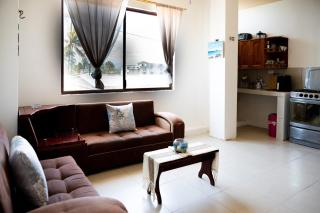 Oceanfront Apartment with Starlink internet - 9